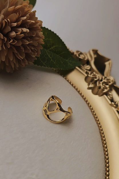 Adie Ring