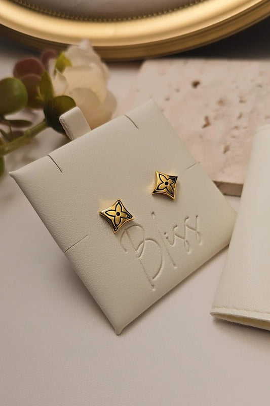 Nanogram Earings